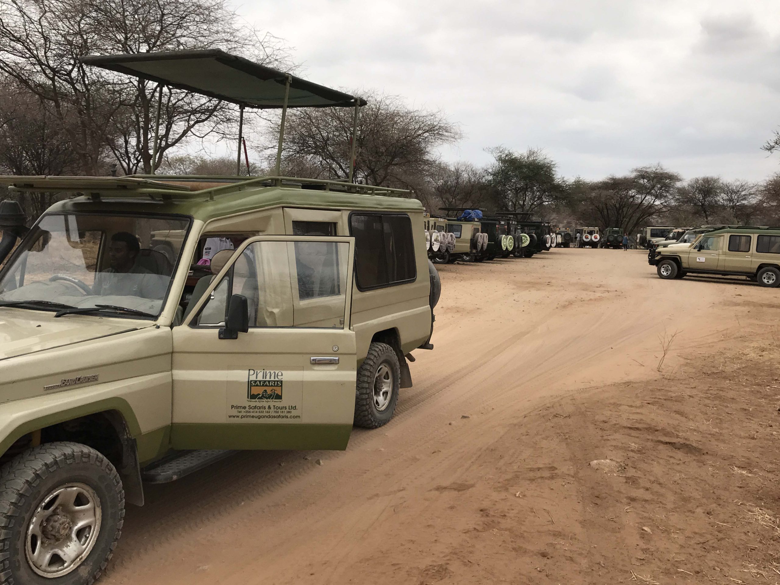 Best Uganda Safari Companies, Uganda Tour Operators & Travel Agents